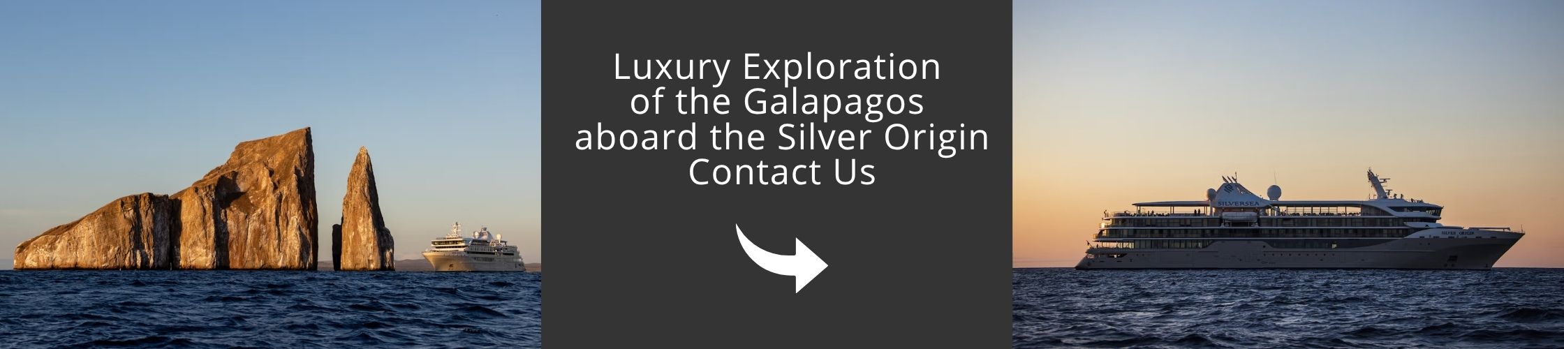 Explore the Galapagos with us aboard the Silver Origin
