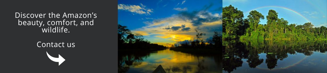 Discover the Amazon’s beauty, comfort, and wildlife. Contact Us