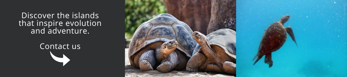 Discover the islands that inspire evolution and adventure