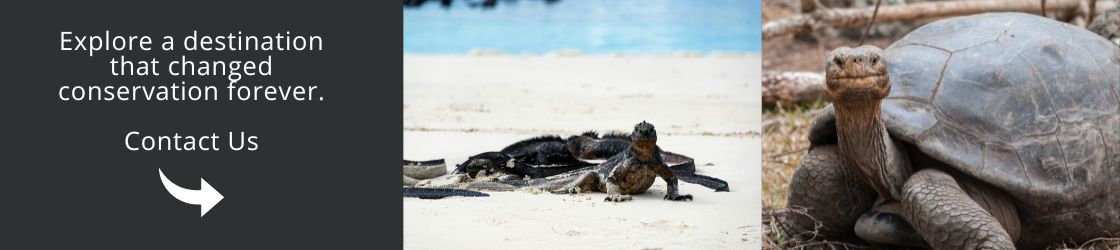 Explore a destination that changed conservation forever