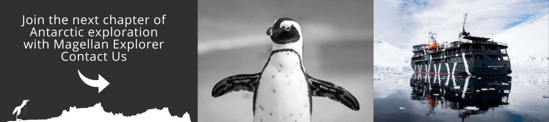 Come and visit Antarctica with us!