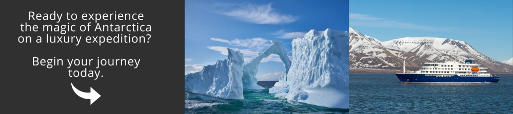 Come and visit Antarctica with us!