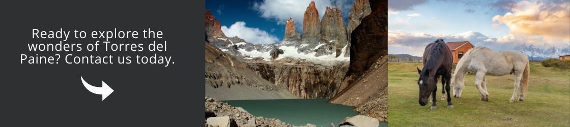 Come and Visit Torres del Paine with us