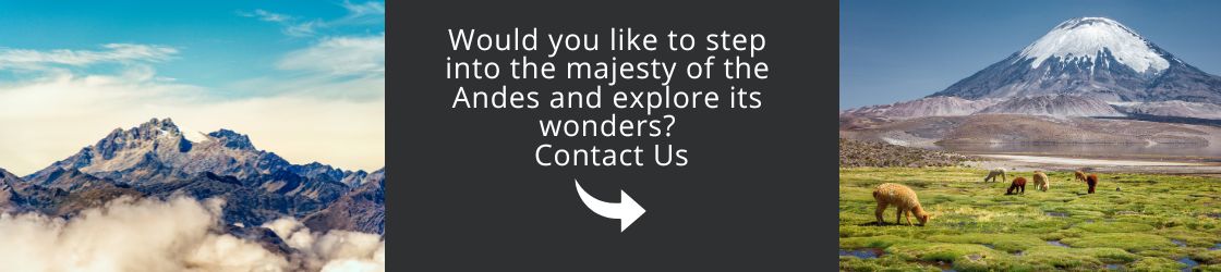 Visit the Majesty of the Andes, Contact Us