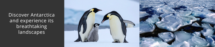 Come and visit Antarctica with us!
