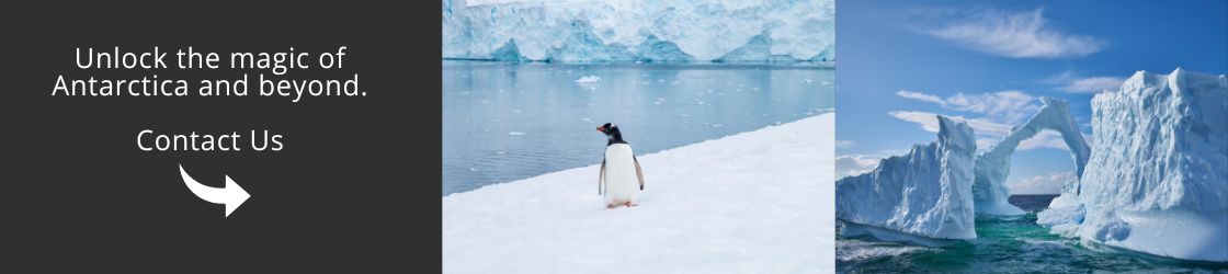 Unlock the magic of Antarctica and beyond