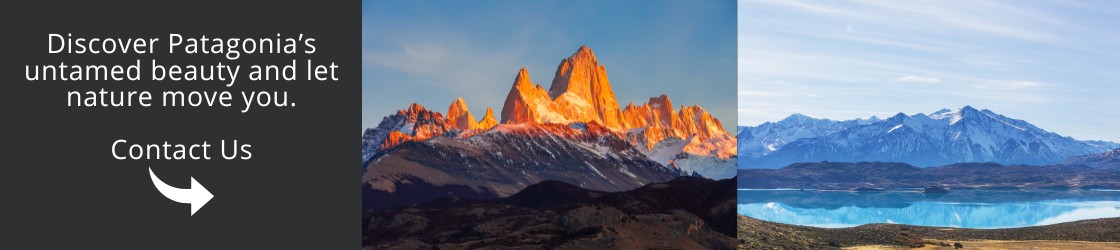 Discover Patagonia’s untamed beauty and let nature move you - Contact us.