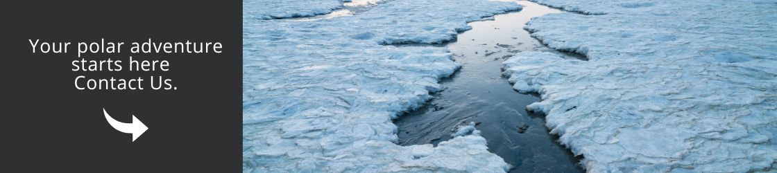Your polar adventure starts here - Contact Us