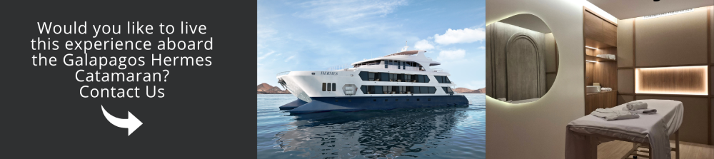 Come and visit Galapagos with the Galapagos Hermes