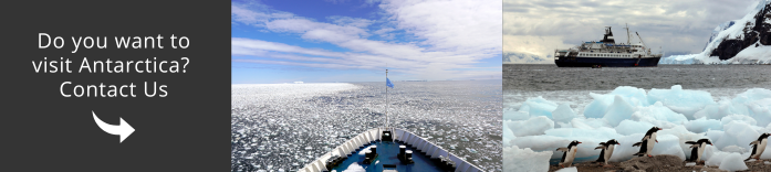 Come and visit Antarctica with us!