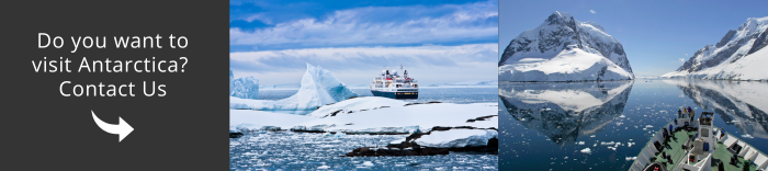 Come and visit Antarctica with us!