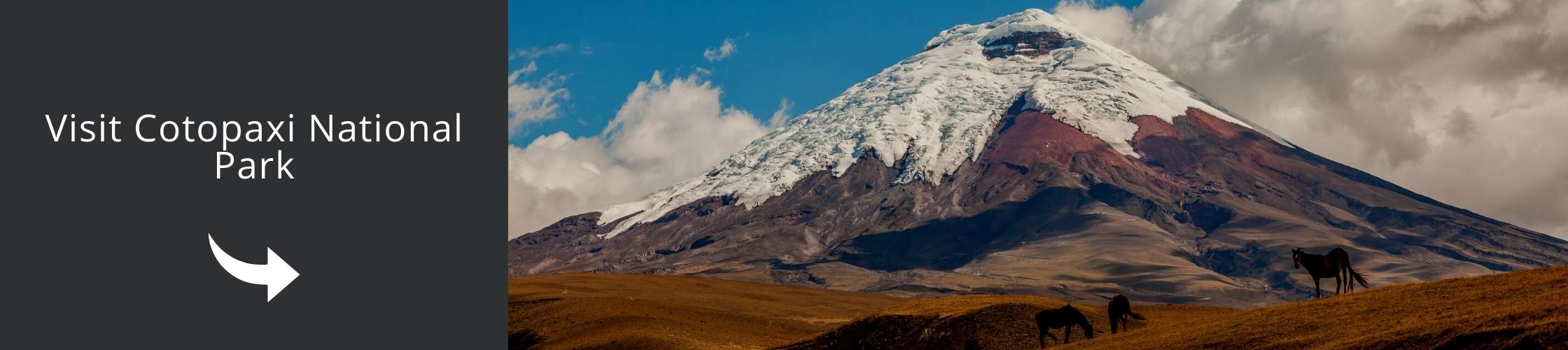 Cotopaxi National Park