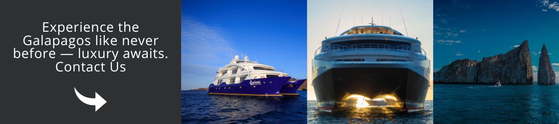 Visit Galapagos with us