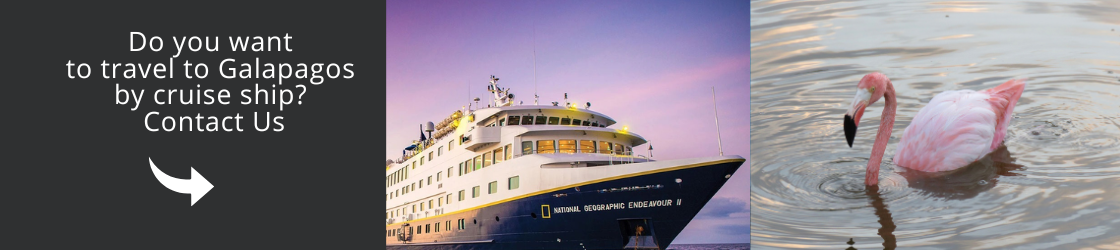 Come and visit Galapagos with us!