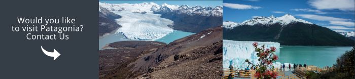 Come and visit Patagonia with us!