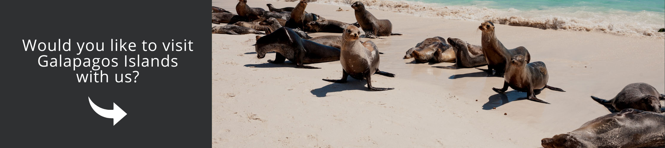 Visit Galapagos Islands