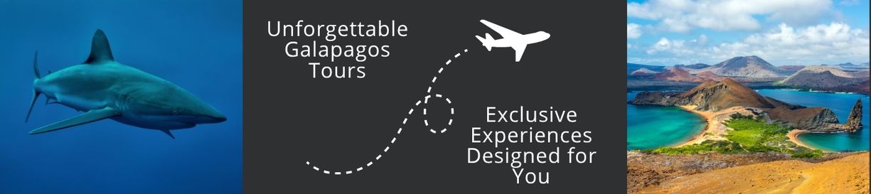 Experience Galapagos Tours – Where Marine Life Comes to Life