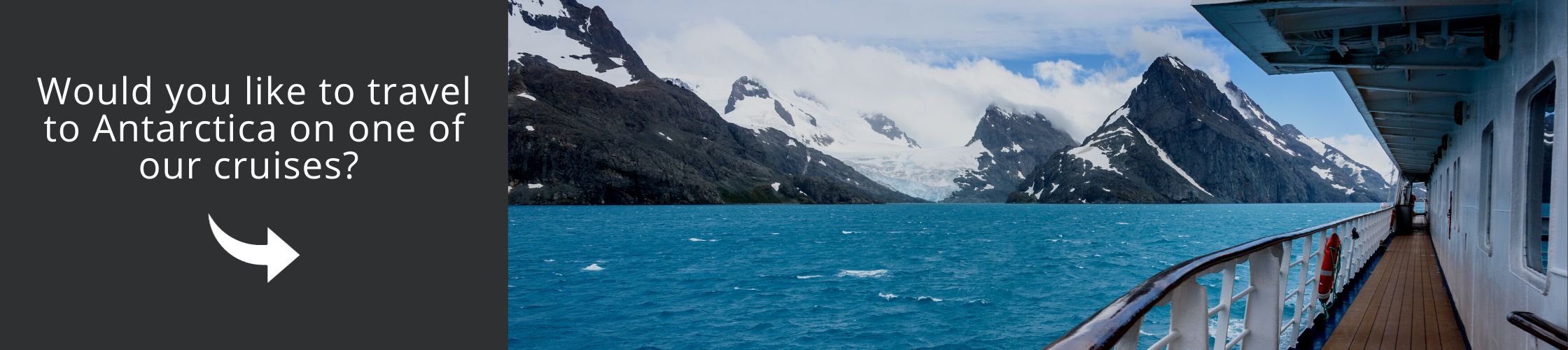 Visit Antarctica with one of our cruises