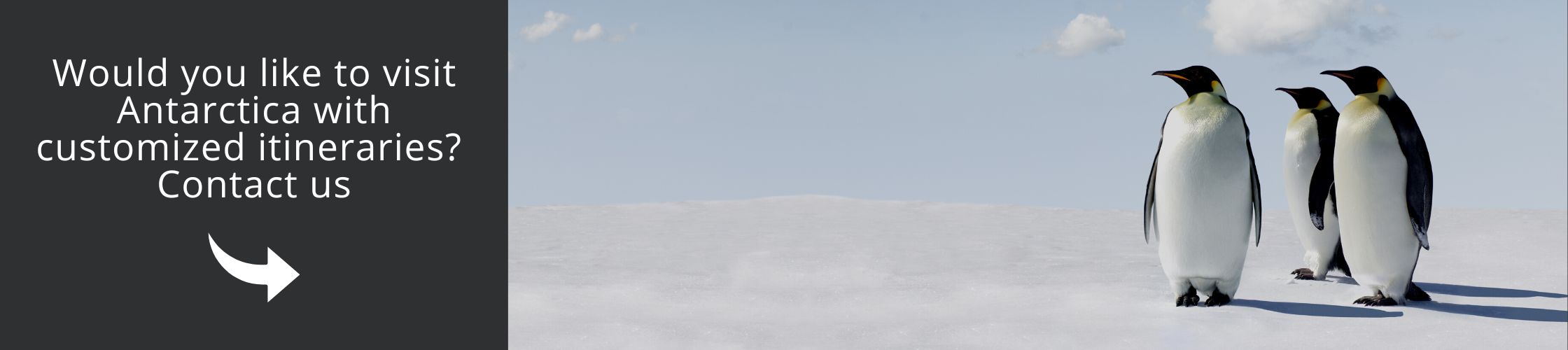 travel route to antarctica Visist Antarctica with Us