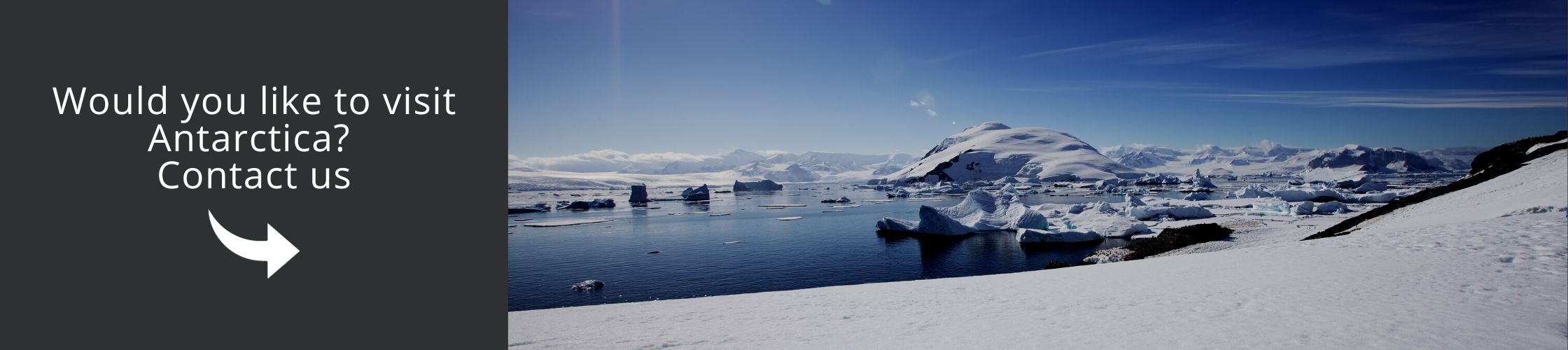 Visit Antarctica with us