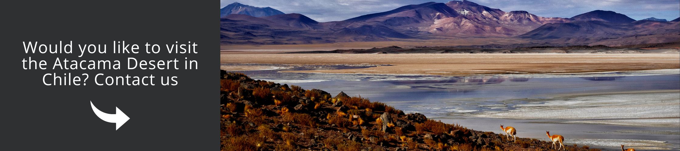 Visit the Atacama Desert with us