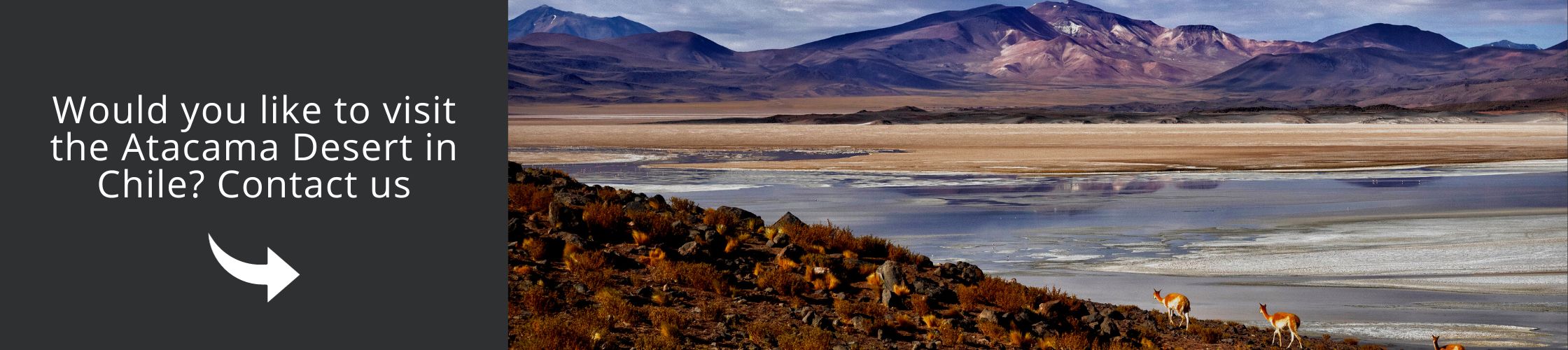 Visit Atacama Desert with us