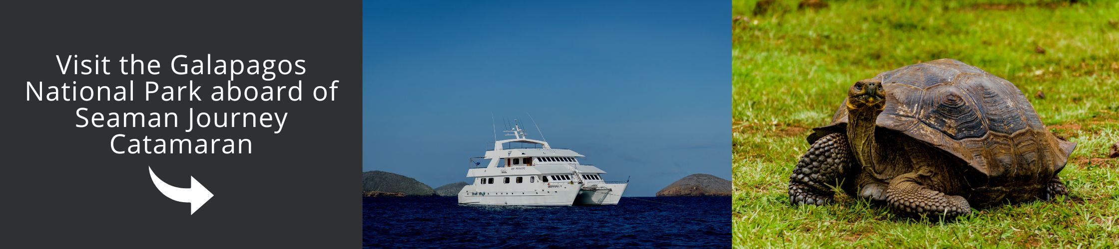 Visit the Galapagos National Park aboard of Seaman Journey Catamaran