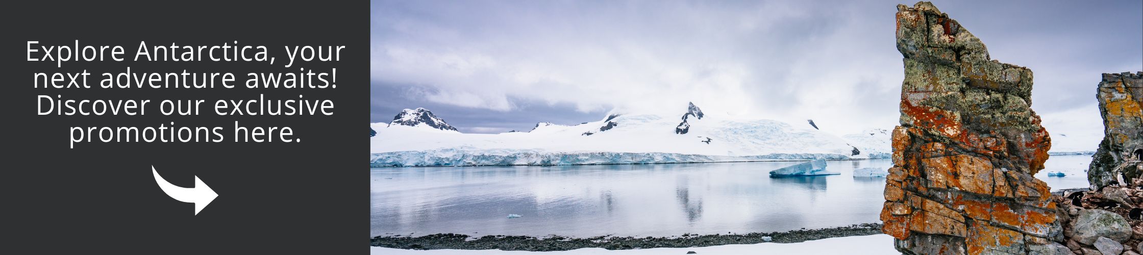 Visit antarctica with our incredible promotions with us