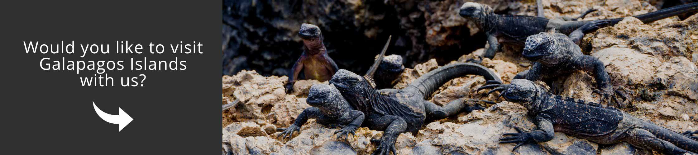 Visit Galapagos with us