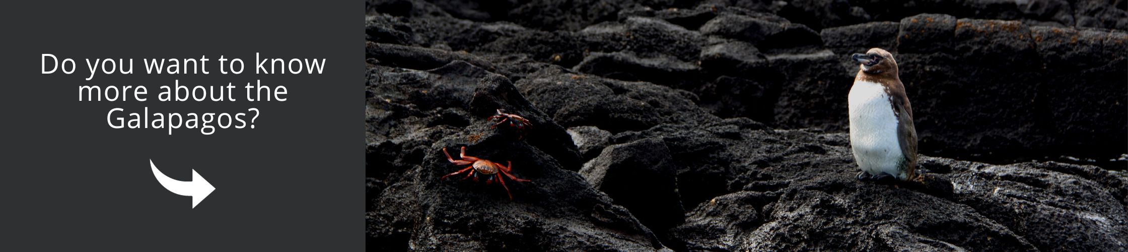 More information about the galapagos islands