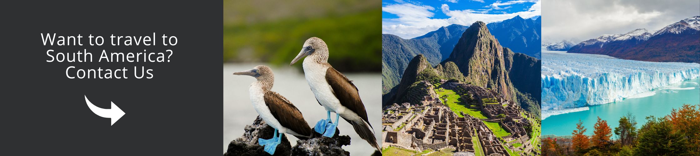 Visit South America with us