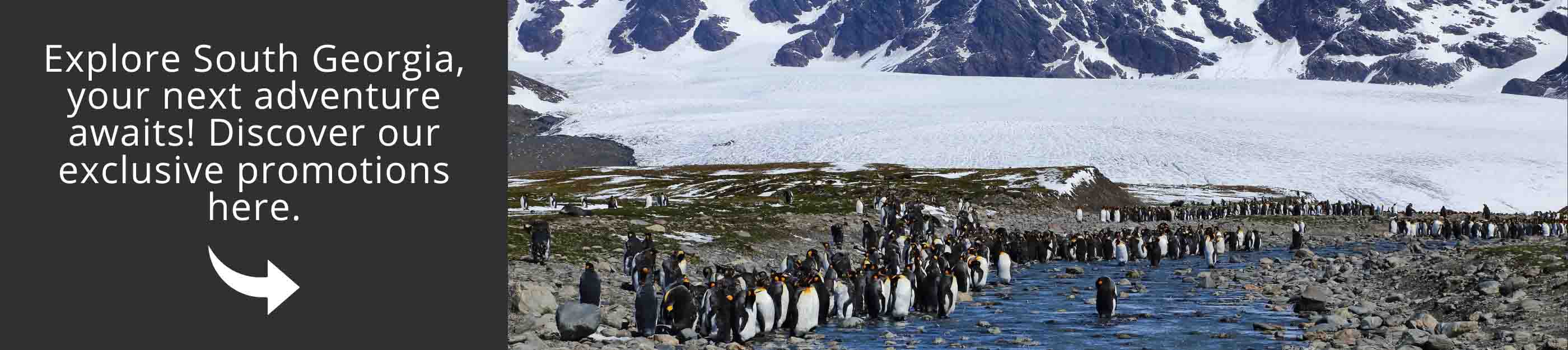Visit Antarctica with one of our promotions