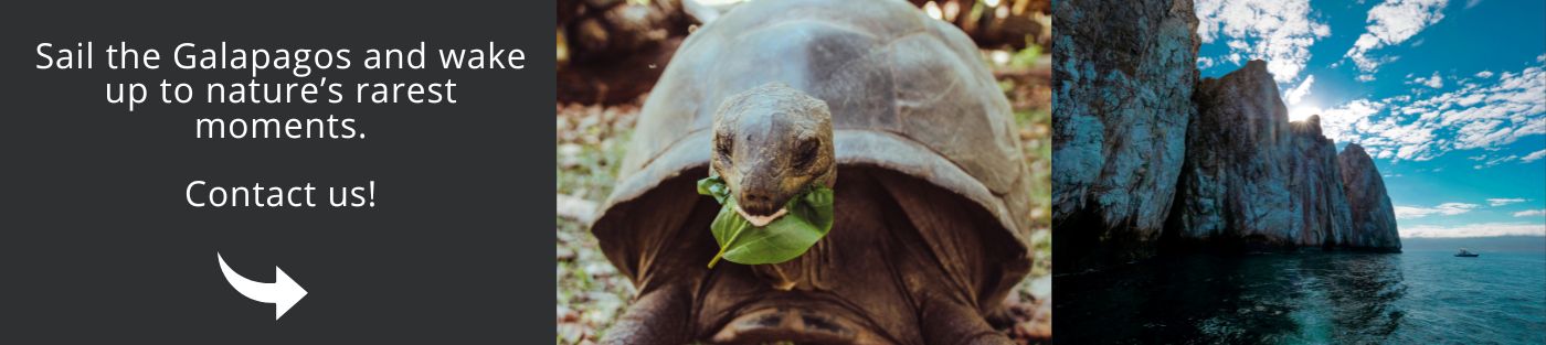 Come and visit Galapagos with us!