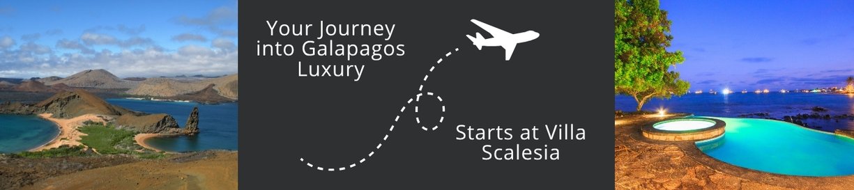 Discover Villa Scalesia with us Let us create a journey where nature, privacy, and unforgettable moments meet