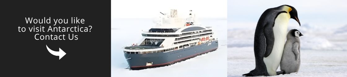 Come and visit Antarctica with us!