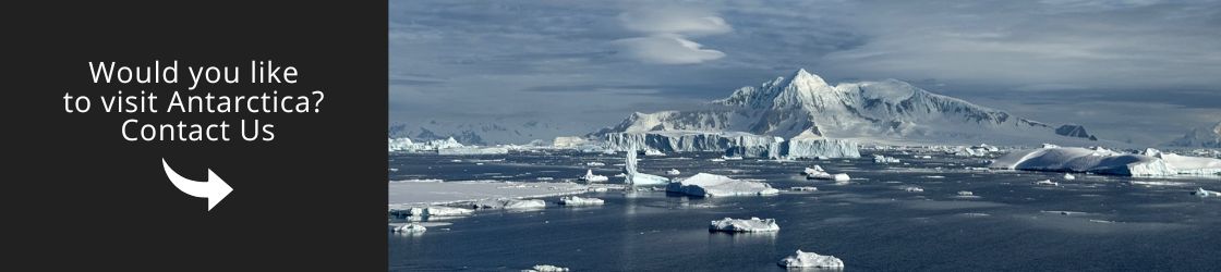 Visit Antarctica The seventh continent that surprises - Contact Us