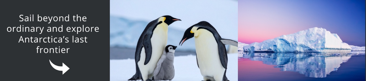 Visit Antarctica