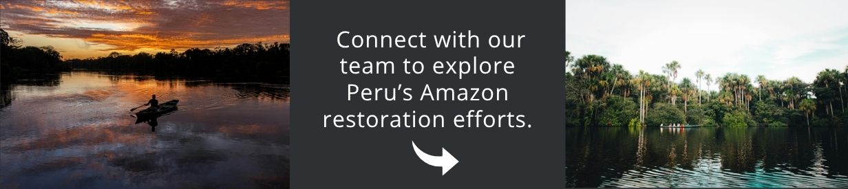 Come and visit Patagonia with us!