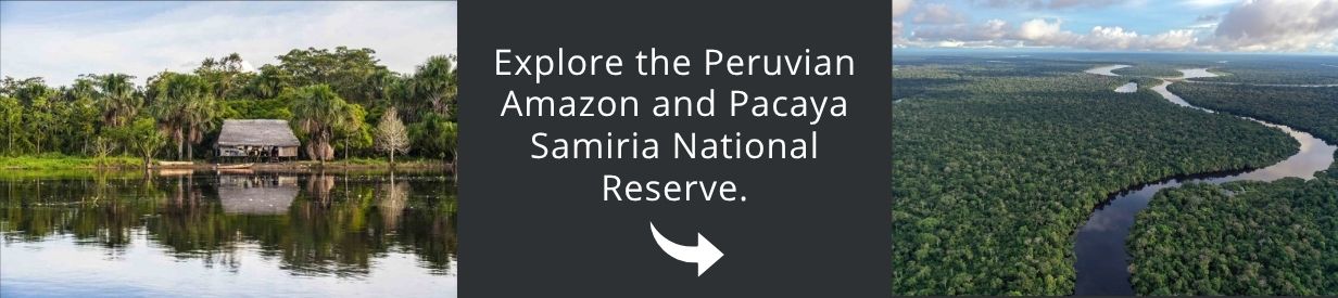 Visit Patagonia