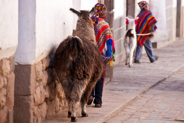 Boy with lama | Cusco | Peru | South America