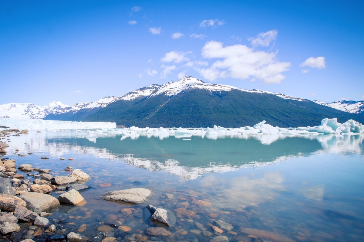 Calafate | Argentina | Patagonia