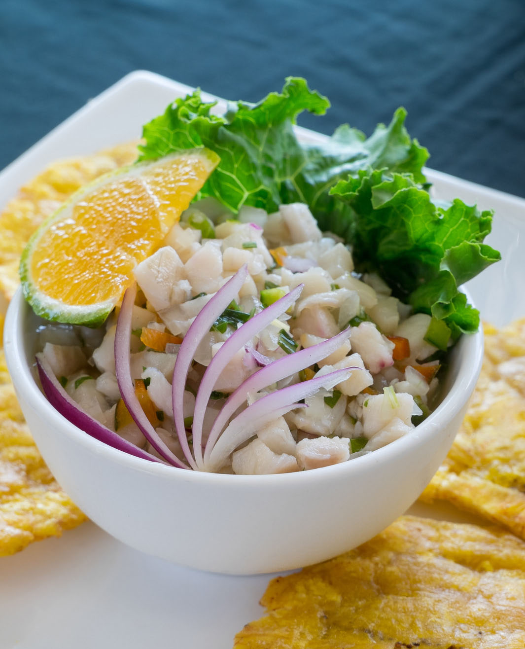 Ceviche | Costa Rica