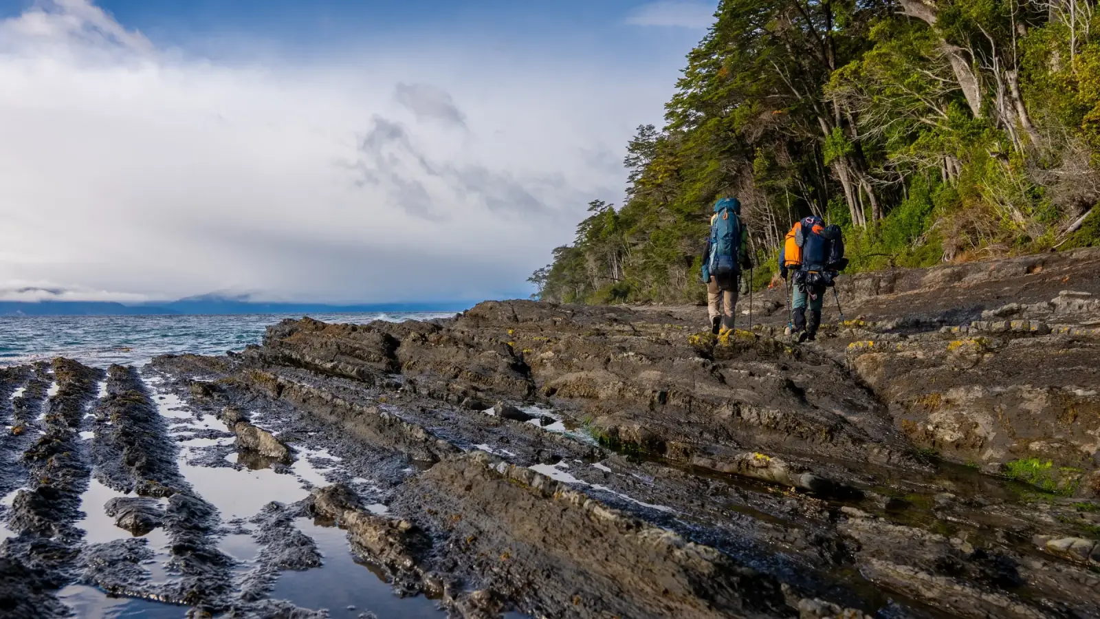 Coastline of the Magellan Strait | Chile | South America