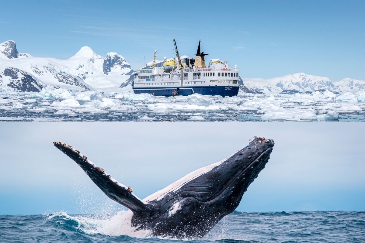 Antarctica Complete