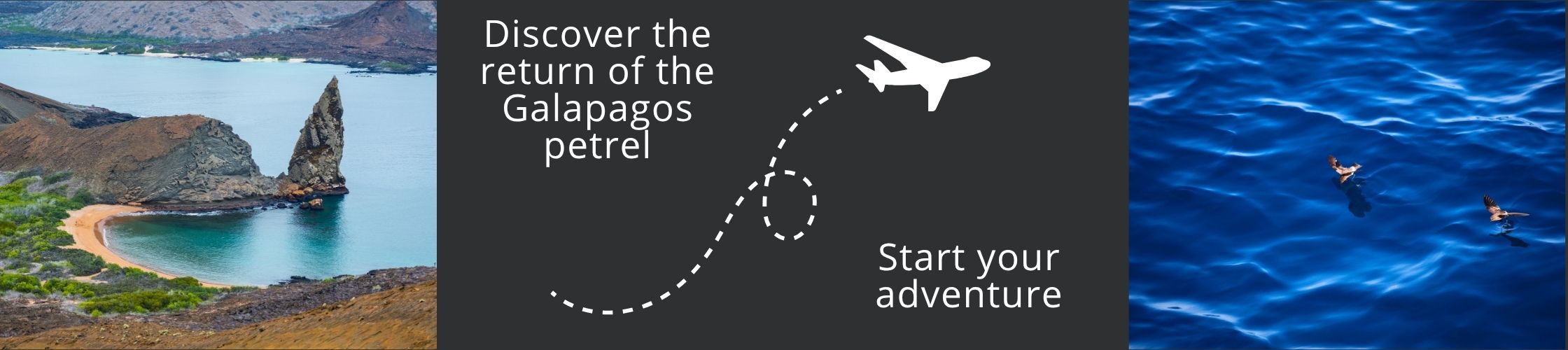 Come and visit Galapagos with us!