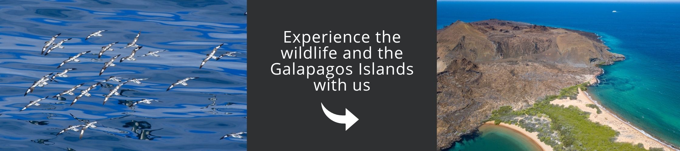 Contact us footer