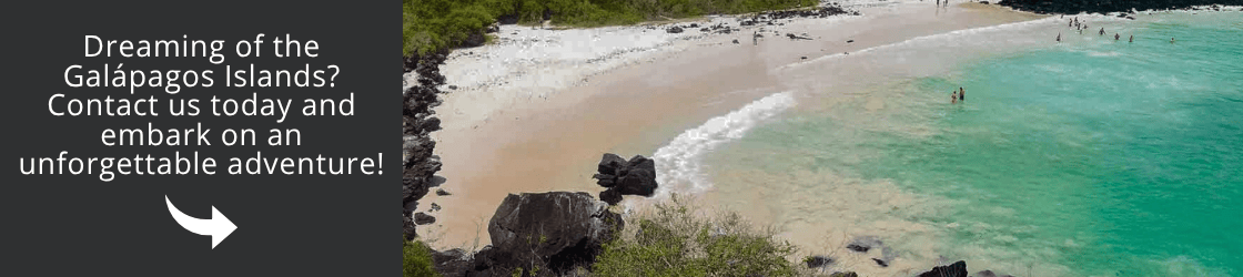 Come and visit Galapagos with us!