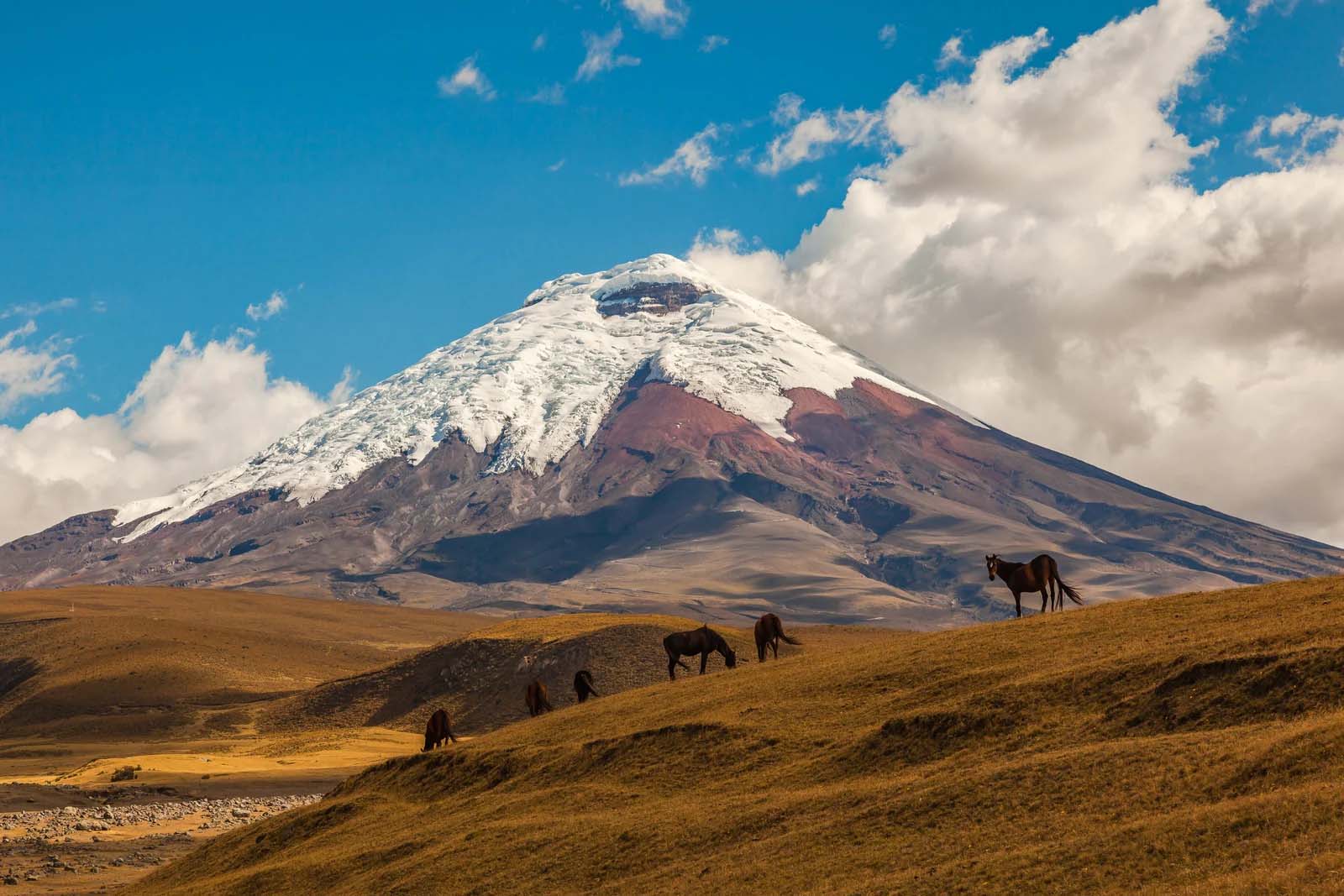 Cotopaxi | Ecuador