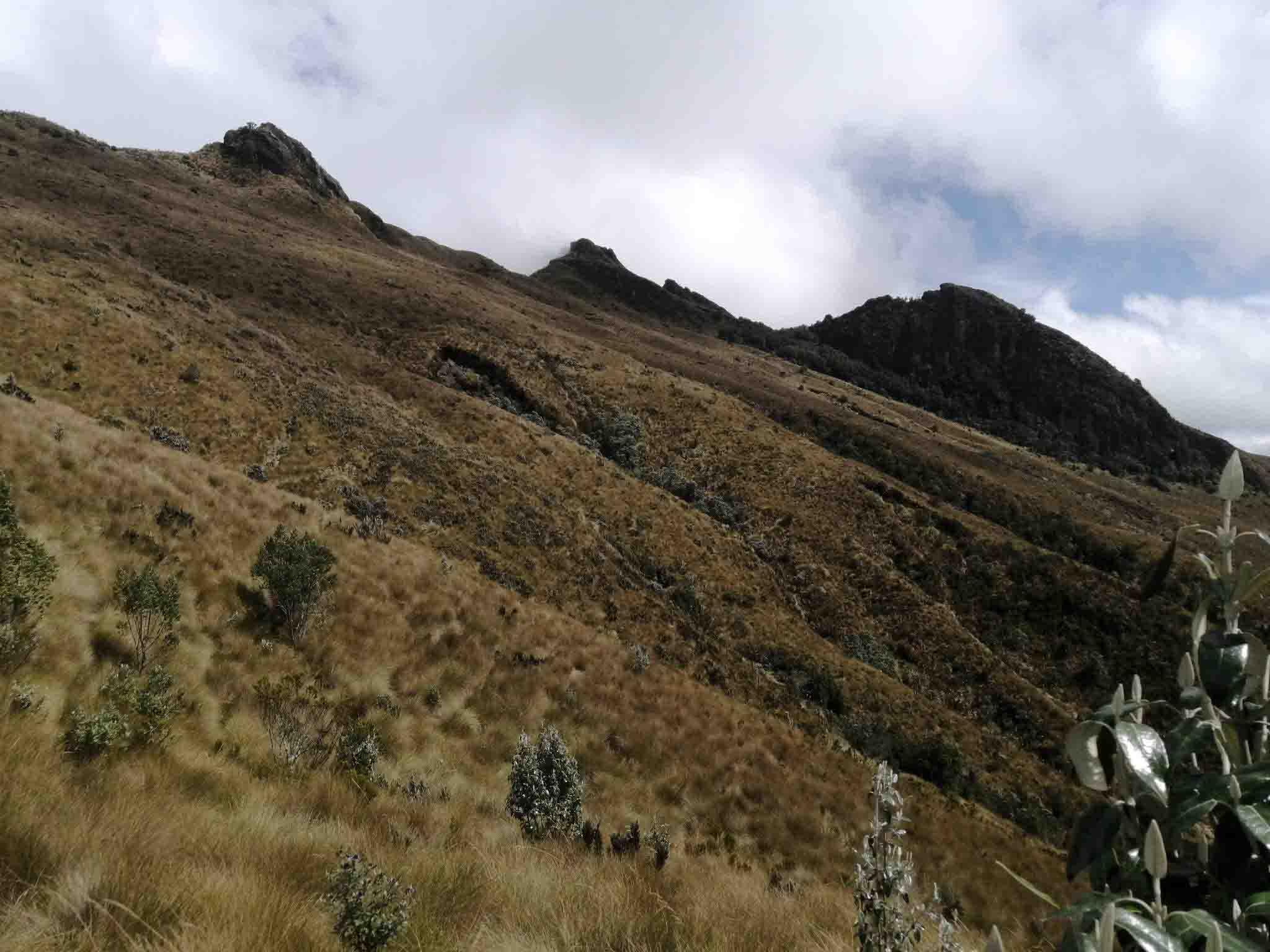hike cotopaxi