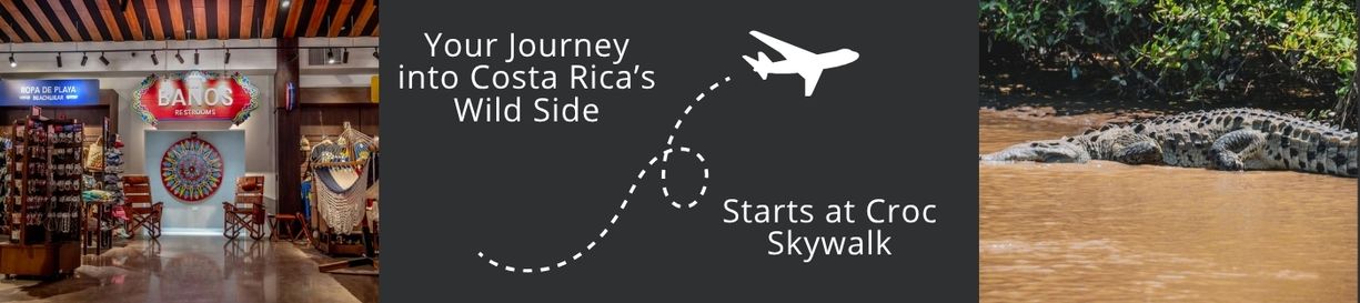 Contact Us to Include Croc Skywalk in Your Costa Rica Journey and Experience Wildlife from a Whole New Perspective